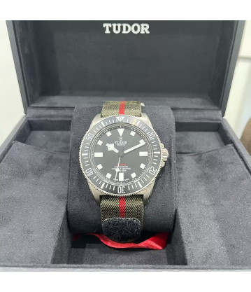 Tudor Pelagos FXD 42mm Titanio Año 2024 Nuevo pegatinas Ref: M25717N full set