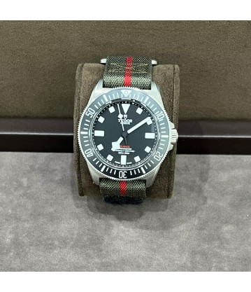 Tudor Pelagos FXD 42mm Titanio Año 2024 Nuevo pegatinas Ref: M25717N full set